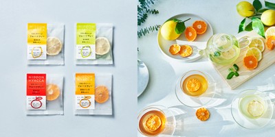 茶楽 山梨商店　フルーツティー 4種セット