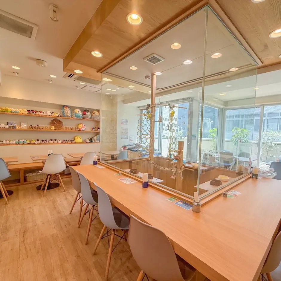 「ことりすまいるカフェ」店内写真