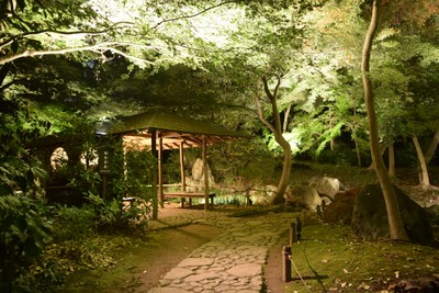 滝見茶屋