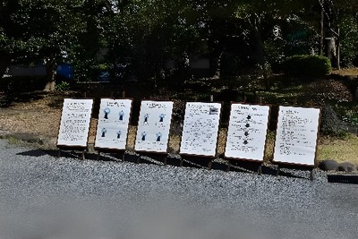 パネル展示(昨年度開催の様子)