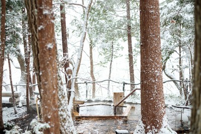 みやぎ蔵王・遠刈田温泉 温泉山荘だいこんの花