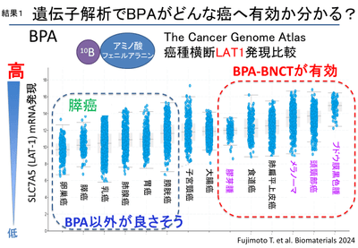 結果1 遺伝子解析でBPAがどんな癌へ有効か分かる？