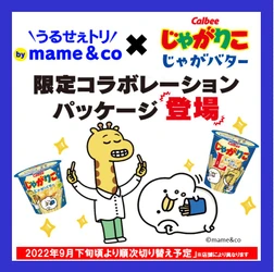 LINEスタンプで人気のキャラクター「うるせぇトリ」がじゃがりこのパッケージに登場！